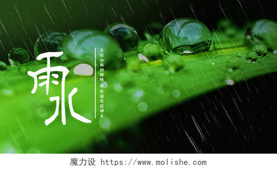 绿色二十四节气雨水微信公众号海报雨水ui手机海报